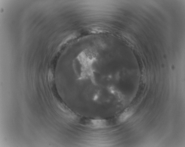 X0000066120371200603171800