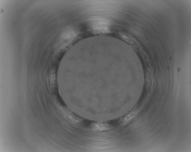 X0000066120372200603171800