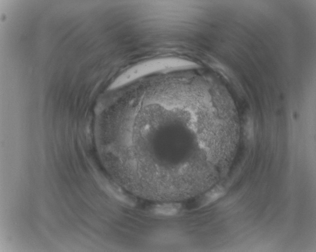 X0000066120373200603171800