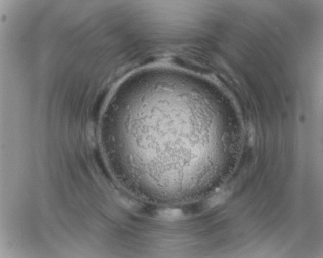 X0000066120374200603171800