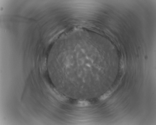 X0000066120376200603171800