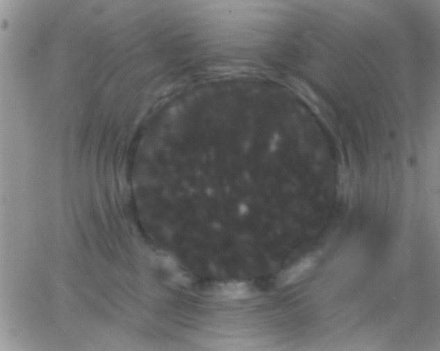 X0000066120377200603171800