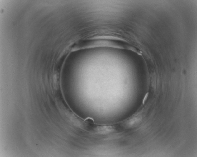 X0000066120378200603171800