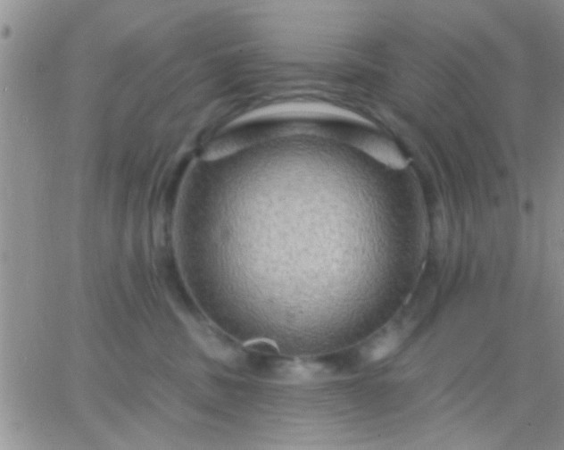 X0000066120379200603171800