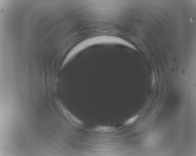 X0000066120380200603171800