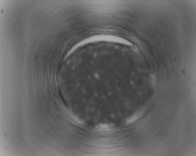 X0000066120381200603171800