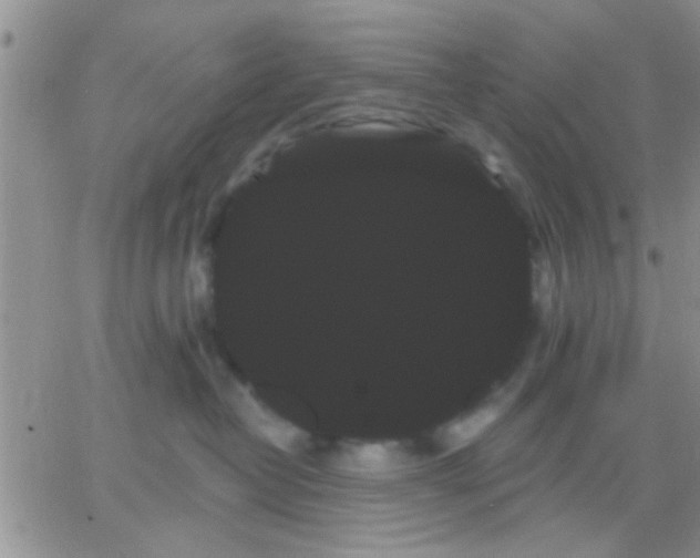 X0000066120382200603171800