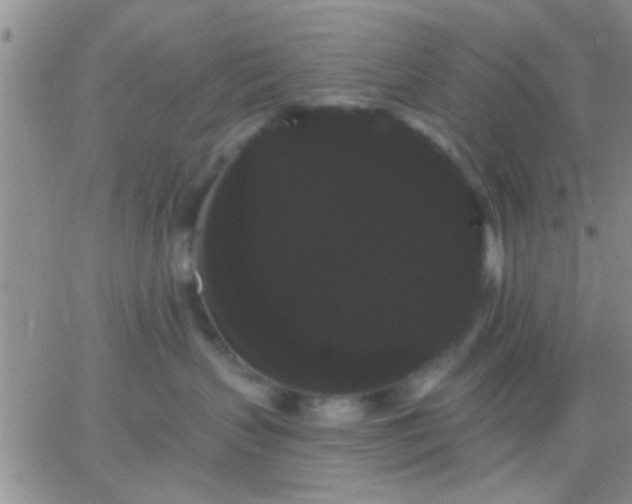 X0000066120383200603171800