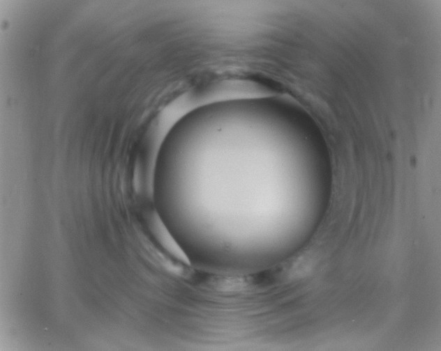 X0000066120384200603171800