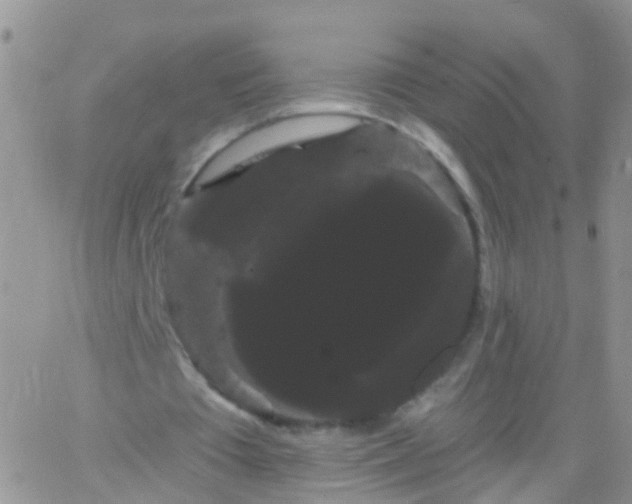 X0000066120385200603171759