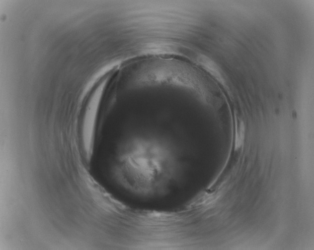 X0000066120387200603171759