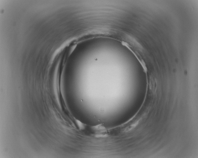 X0000066120388200603171759