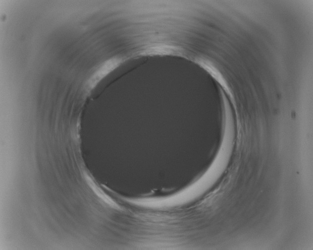 X0000066120389200603171759