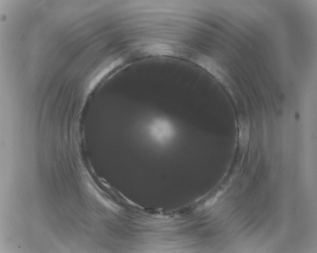 X0000066120390200603171759