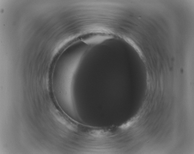 X0000066120391200603171759