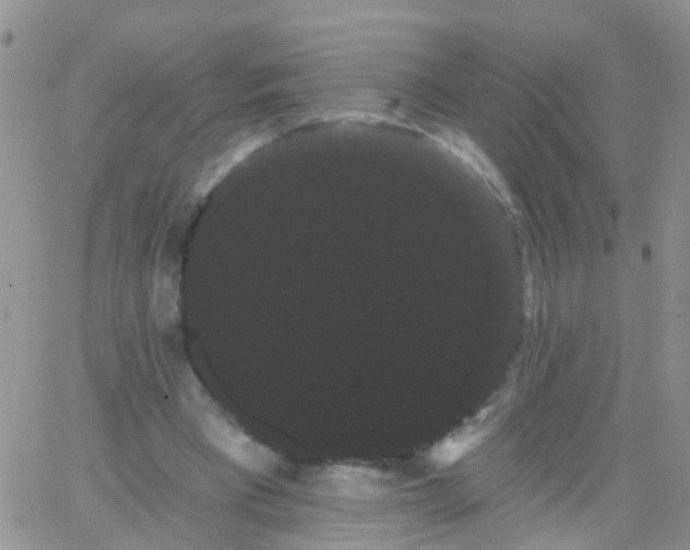 X0000066120393200603171759