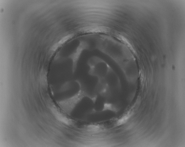 X0000066120394200603171759