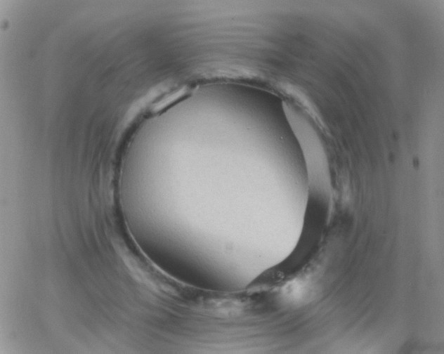 X0000066120395200603171759