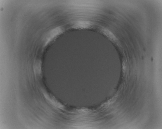 X0000066120396200603171759