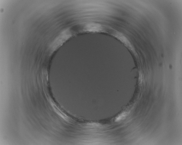 X0000066120397200603171759