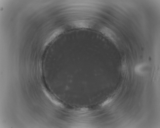 X0000066120398200603171759