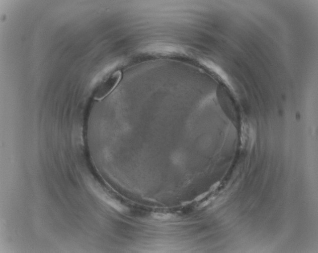 X0000066120399200603171759