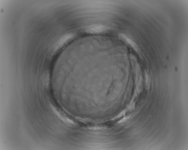 X0000066120400200603171759