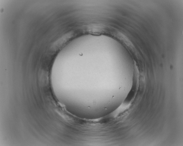 X0000066120401200603171759