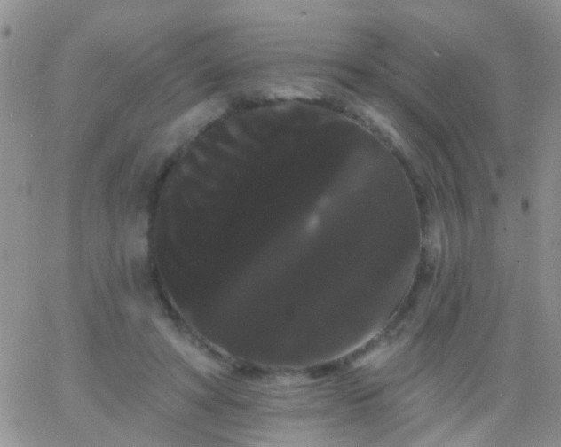 X0000066120402200603171759