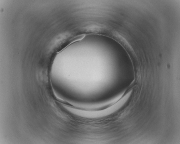 X0000066120403200603171759