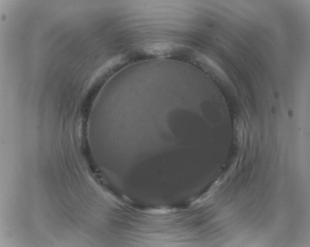 X0000066120404200603171759