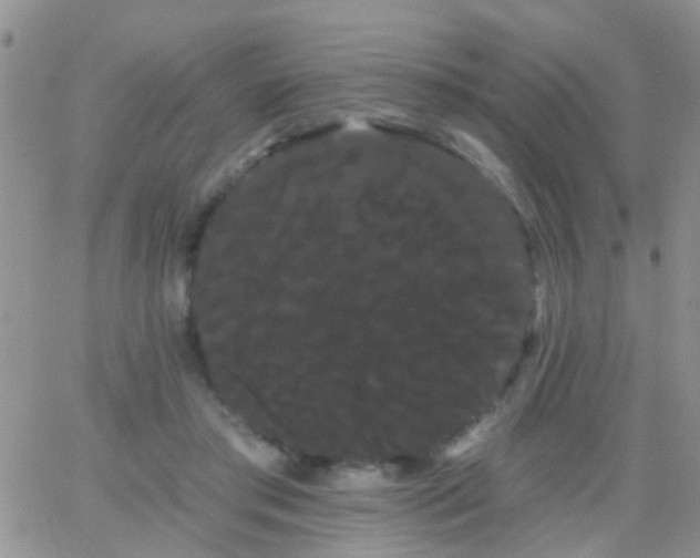 X0000066120405200603171759