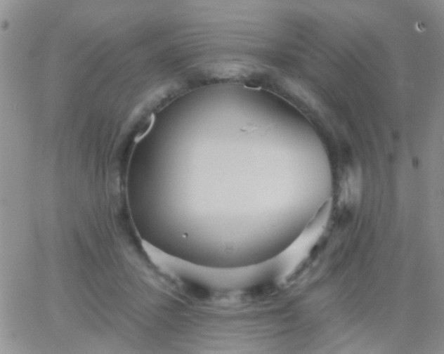 X0000066120407200603171759