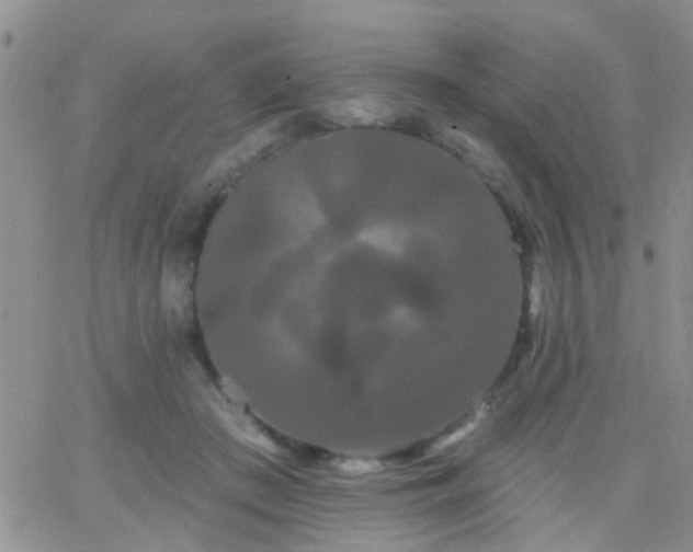 X0000066120409200603171759