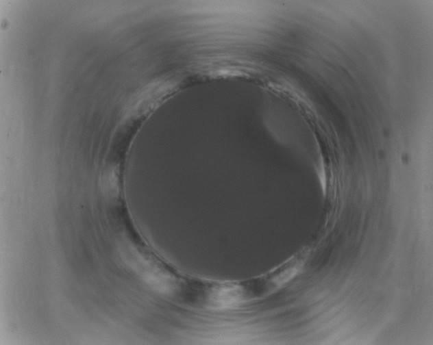 X0000066120410200603171759