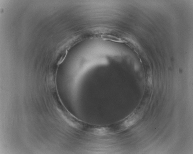 X0000066120411200603171759