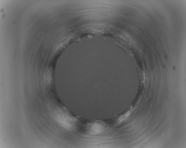 X0000066120412200603171759