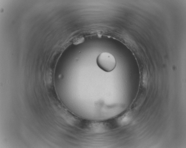 X0000066120413200603171759