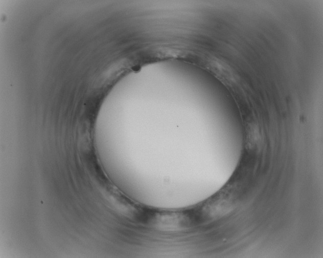 X0000066120414200603171759