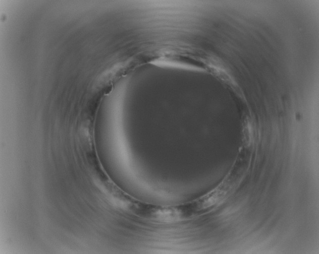 X0000066120415200603171759