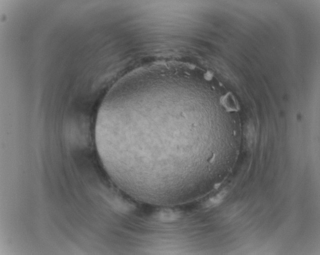 X0000066120416200603171759