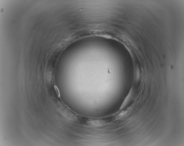 X0000066120417200603171759