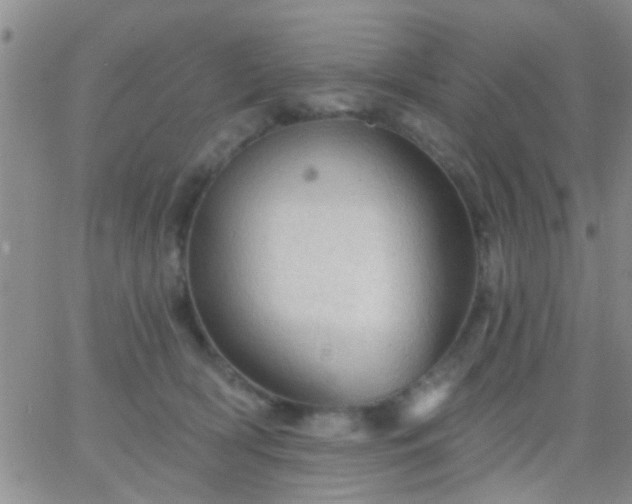 X0000066120418200603171759