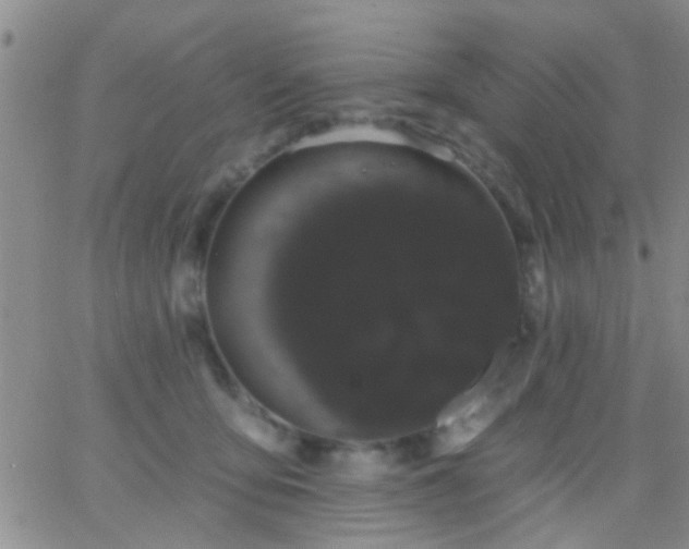 X0000066120419200603171759