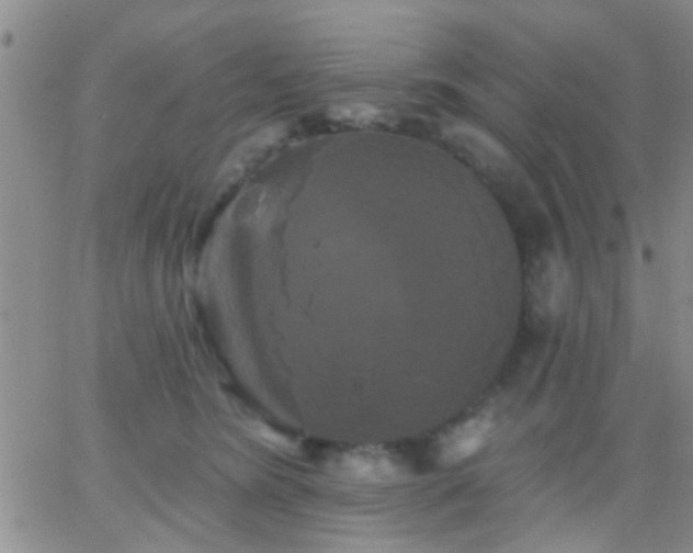 X0000066120420200603171759