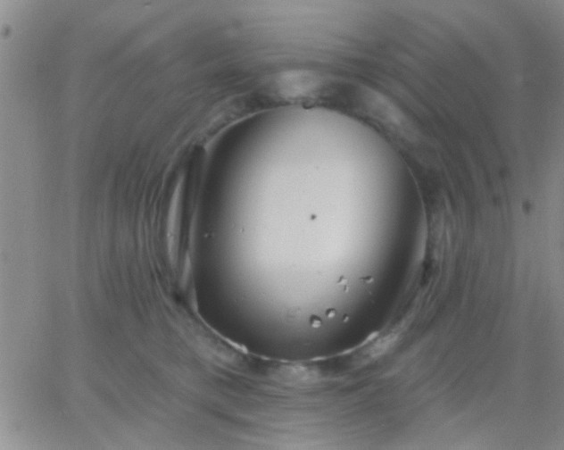 X0000066120421200603171759