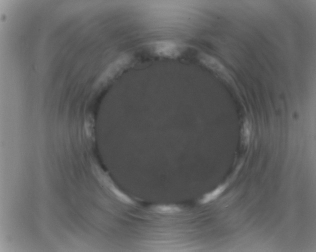 X0000066120424200603171759