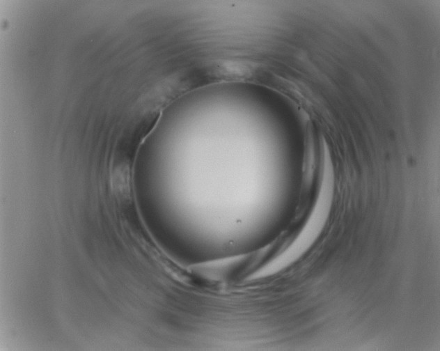 X0000066120425200603171758