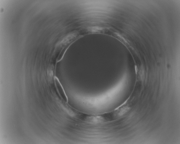 X0000066120427200603171758