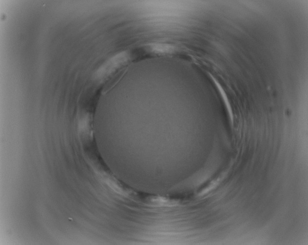 X0000066120428200603171758